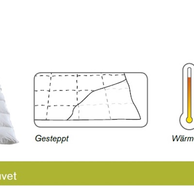 Für Allergiker SANITIZED® FELICIA Ganzjahres-Duvet von Dorbena