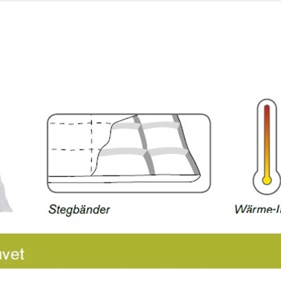 Für Allergiker SANITIZED® ERANTHIS Winter-Duvet von Dorbena