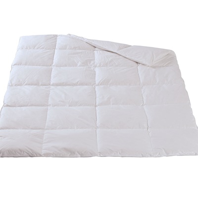 Für Allergiker SANITIZED® ERANTHIS Winter-Duvet von Dorbena