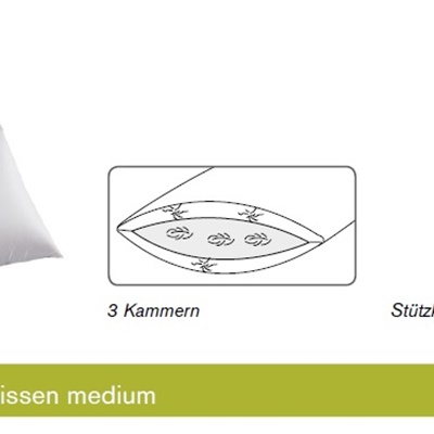 Dorbena 3-Kammer Kissen in 3 Stützkraft-Stufen