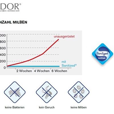 Für Allergiker SANITIZED® 3-Kammer Kissen von Dorbena