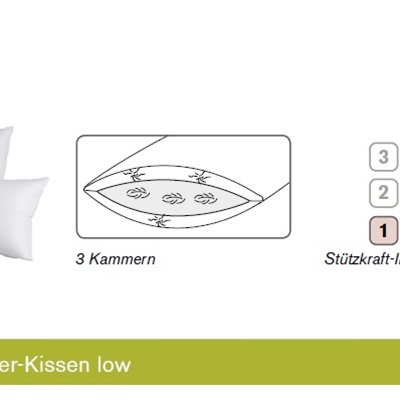 Für Allergiker SANITIZED® 3-Kammer Kissen von Dorbena