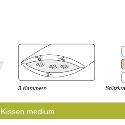 Für Allergiker SANITIZED® 3-Kammer Kissen von Dorbena