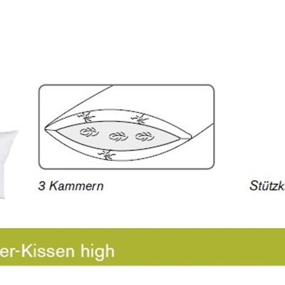 Für Allergiker SANITIZED® 3-Kammer Kissen von Dorbena