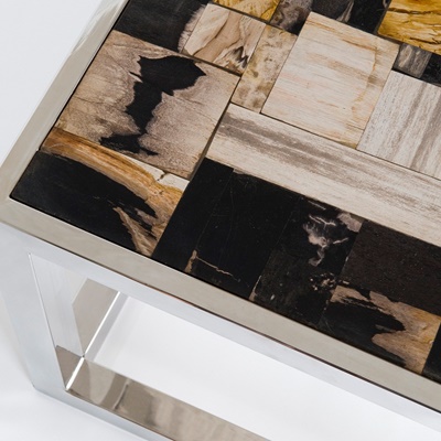 Couchtisch versteinertes Holz