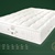 Boxspringmatratze SOPRANO von Elite (1080-0001-1)